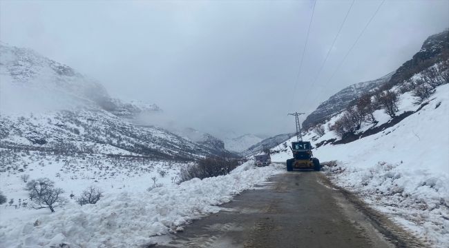 Diyarbakır, Şırnak ve Siirt'te kar etkili oldu