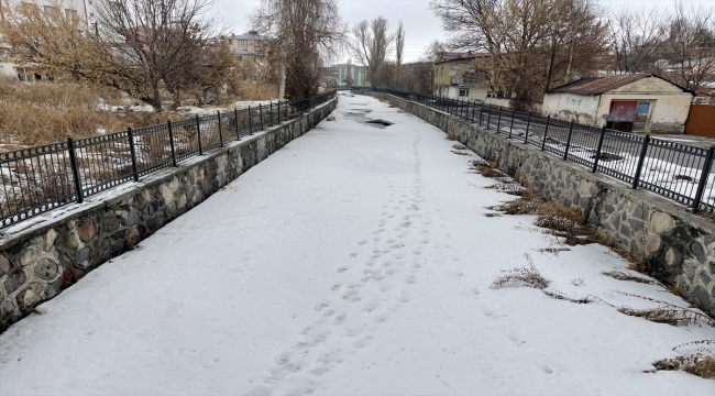 Erzurum, Ardahan ve Tunceli'de soğuk hava etkisini sürdürüyor