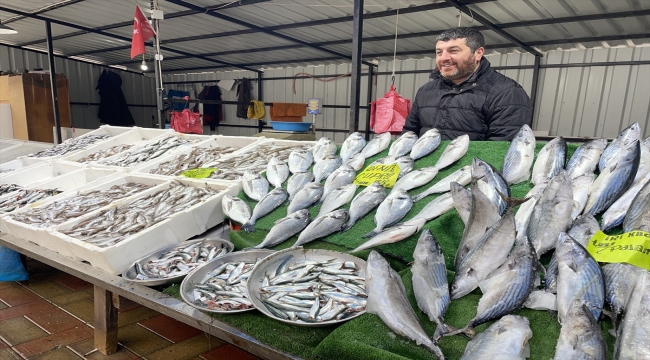 Hamside umduğunu bulamayan Zonguldaklı balıkçıların yüzünü palamut güldürdü