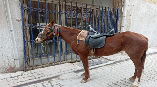 Konya'da alkollü olarak atıyla caddede dolaşan kişiye 10 bin 111 lira ceza 