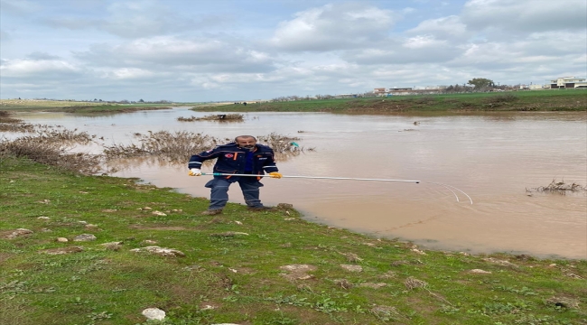 Mardin'de dereye düşen 11 yaşındaki çocuk aranıyor