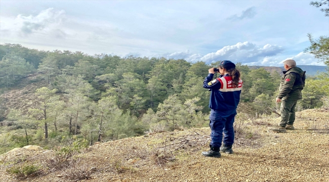 Muğla'da yavrulama dönemi yaban keçilerinin avlanmasını önlemek için denetim yapıldı