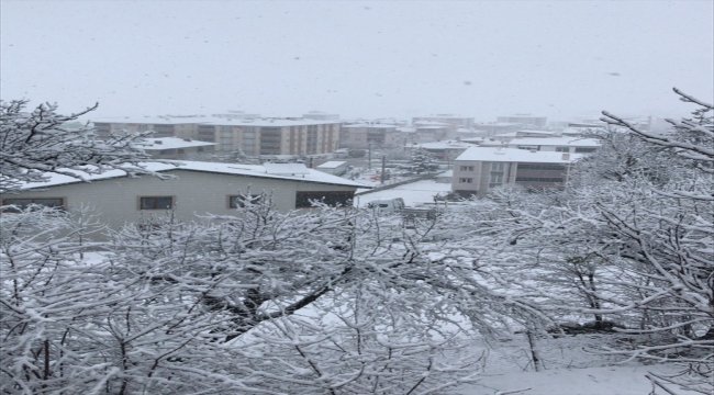 Samsun ve Tokat'ta kar yağışı etkili oldu