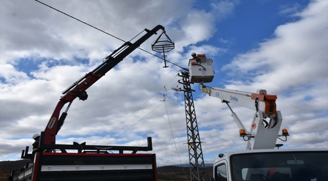 Sinop'ta elektrik direklerine leylekler için özel yuvalar yerleştirildi