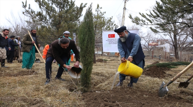 TİKA'dan Afganistan'da depremzedeler adına 102 fidan dikildi