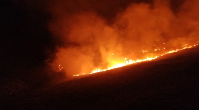 Bodrum'da makilikteki yangına müdahale ediliyor