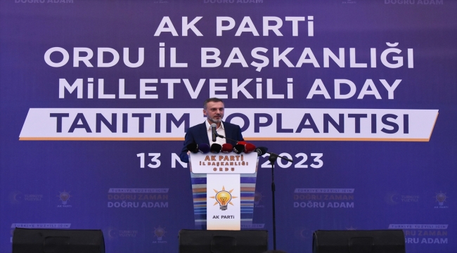 Cumhurbaşkanı Erdoğan, Ordu milletvekili aday tanıtım toplantısına telefonla bağlandı: