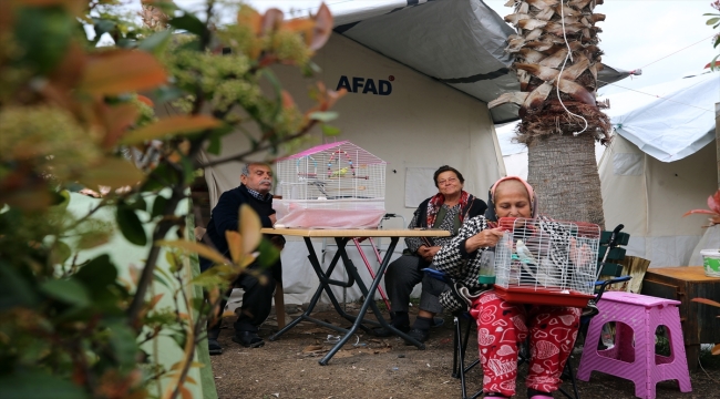 Depremzede aileler, çadır kentte muhabbet kuşu ve papağanla ilgilenerek vakit geçiriyor