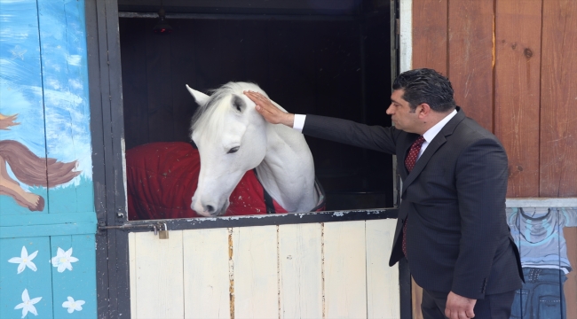 Elazığ Hipodromu 12 Nisan'da açılacak 