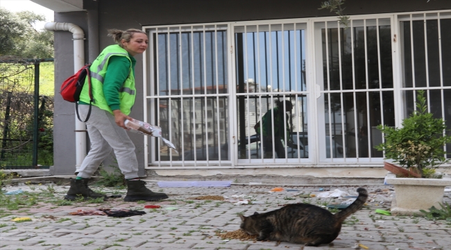 Hatay'da gönüllü hayvanseverler enkazdan can dostları kurtarıyor