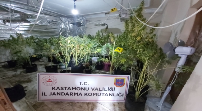 Kastamonu'da kiraladıkları villada uyuşturucu serası oluşturan 3 kişi yakalandı