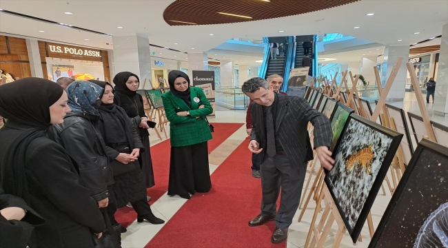 Sakarya'da su altı fotoğraflarından oluşan serginin geliri depremzedelere bağışlanacak