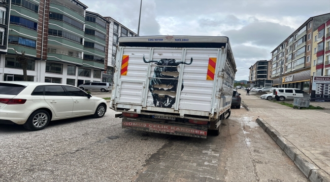 Tokat'taki trafik kazasında 2 kişi yaralandı