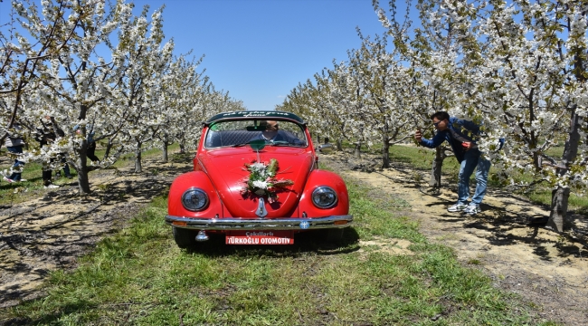 Afyonkarahisar'da 4. Geleneksel Sultandağı Kiraz Çiçeği Foto Safari etkinliği yapıldı