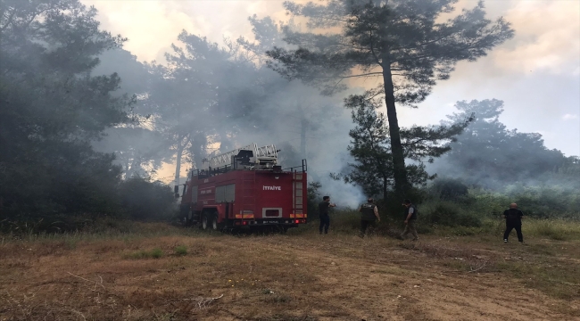 Antalya'da ormanlık alanda çıkan yangın söndürüldü