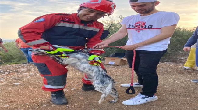 Bodrum'da kuyuya düşen köpek kurtarıldı