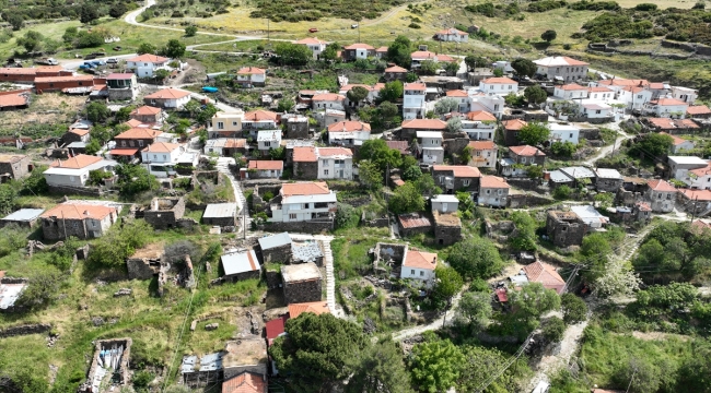 İzmir'in 84 seçmenli Yayla Mahallesi'nde oy verme işlemi sürüyor