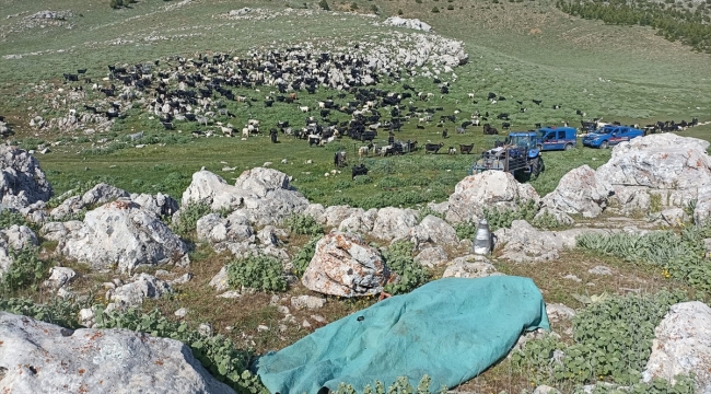 Karaman'da kayınbiraderini bıçakla öldüren kadın yakalandı