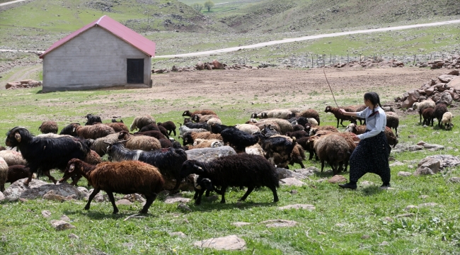 Köyde öğretmeninin keşfettiği genç atlet, 3 yılda 4 kez Türkiye şampiyonu oldu