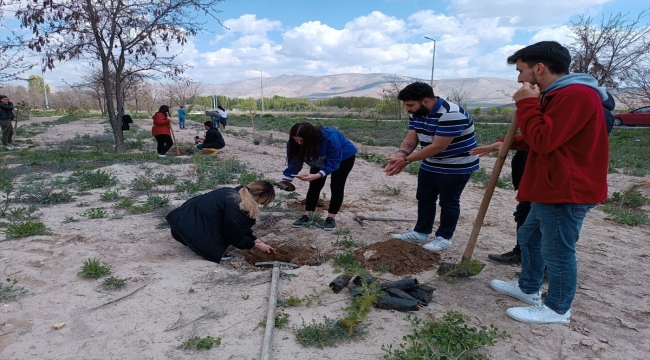 Niğde'de üniversite öğrencileri sahipsiz hayvanlar için fidan dikti