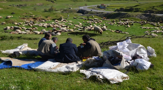 Sonbaharda sıcak bölgelere giden Muşlu besicilerin dönüş yolculuğu başladı