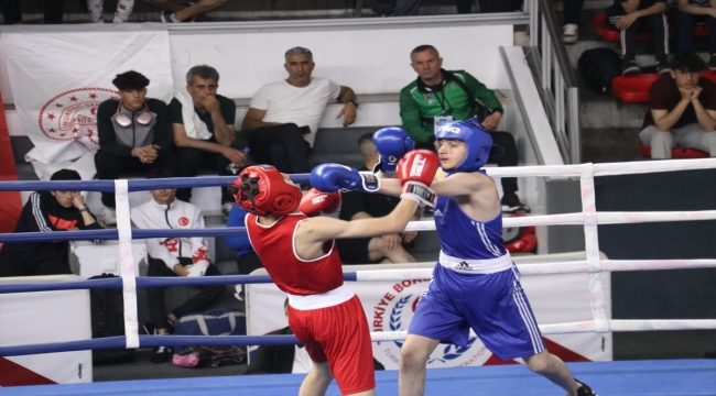 Yıldızlar Türkiye Ferdi Boks Şampiyonası, Sakarya'da başladı