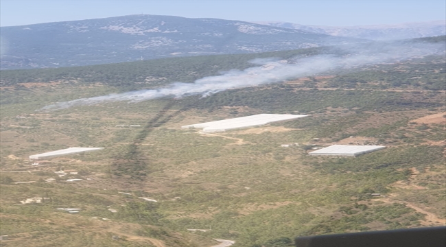 Alanya'da çıkan orman yangını kontrol altına alındı