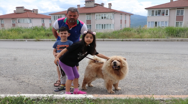 Enkazdan kurtarılma videolarını gördüğü "Şans"ı Hatay'dan alıp evine getirdi