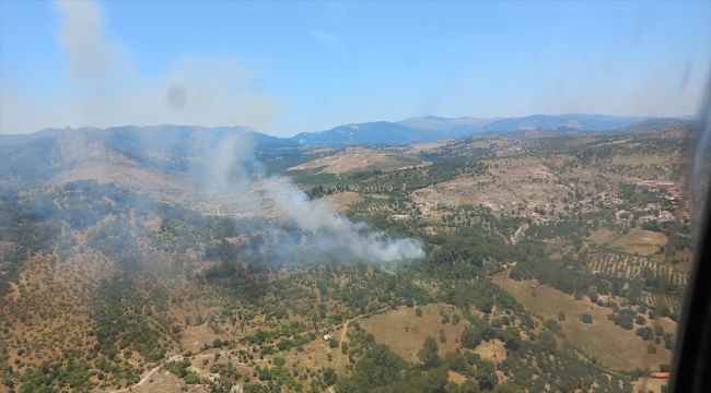 İzmir'de ormanlık alanda çıkan yangın kontrol altına alındı