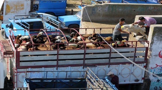 İran'ın "en büyük ikinci" hayvan pazarında bayram öncesi büyük yoğunluk yaşanıyor