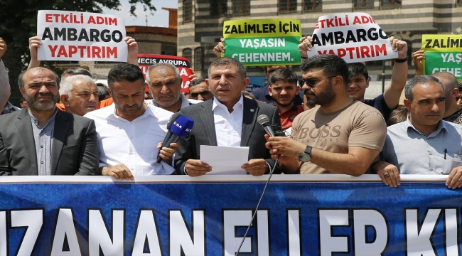 İsveç'te Kur'an-ı Kerim yakılması Diyarbakır'da protesto edildi