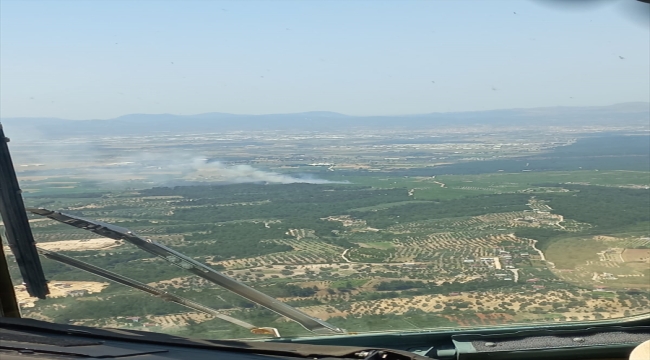 İzmir'de çıkan orman yangınına müdahale ediliyor