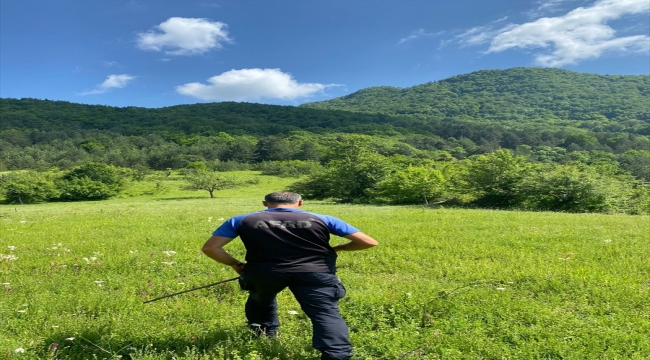 Kastamonu'da kayıp bekçiyi arama çalışmaları sürüyor