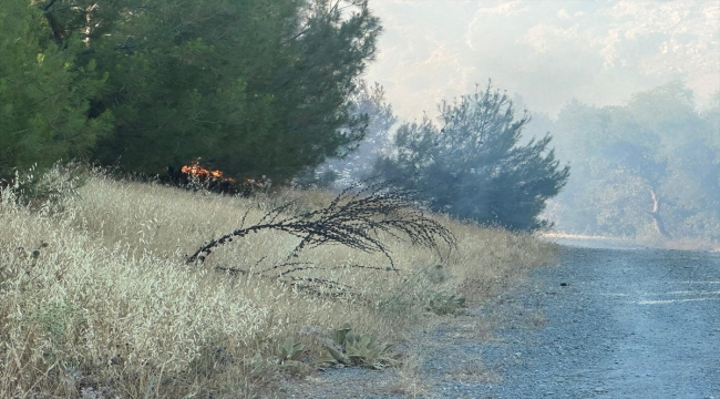 Kilis'te ormanlık alanda çıkan yangın kontrol altına alındı