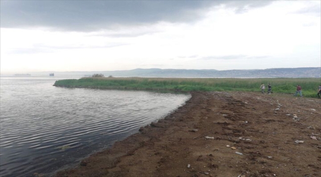 Kocaeli'de kaçak midye avcılığı yapan 4 kişi yakalandı