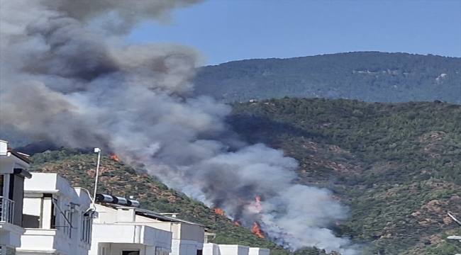 Marmaris'te orman yangını başladı