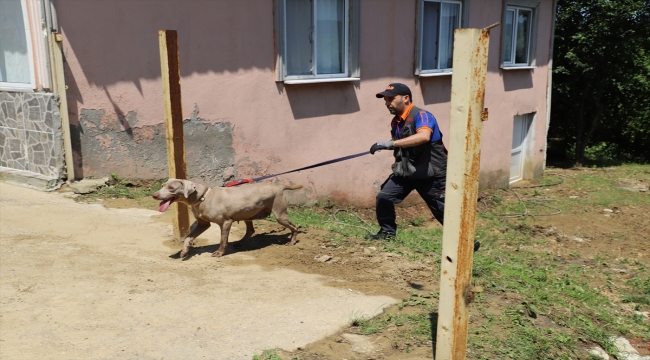 Sakarya'da kaybolan 70 yaşındaki kadın aranıyor