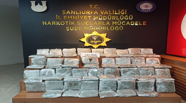 Şanlıurfa'da 38 kilo 100 gram skunk ele geçirildi