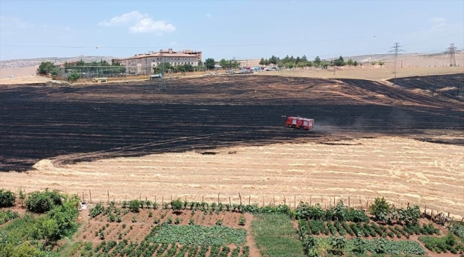 Siirt'te tarlalarda çıkan anız yangını bahçelere sıçramadan söndürüldü