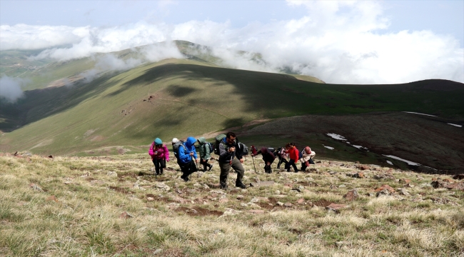 Yağışlarla yeşillenen Aras Dağları doğa tutkunlarını ağırlıyor