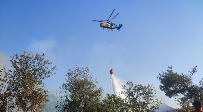 Adana'da çıkan orman yangınına müdahale ediliyor 