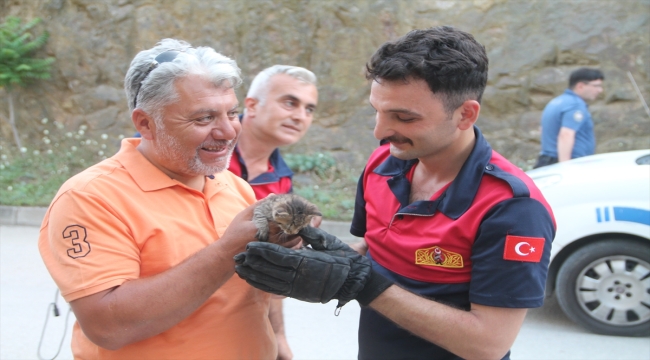 Amasya'da otomobilin motor bölümüne sıkışan 4 kedi yavrusu kurtarıldı