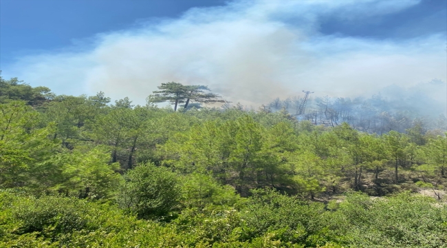 Antalya'da ormanlık alanda başlayan yangına müdahale ediliyor 