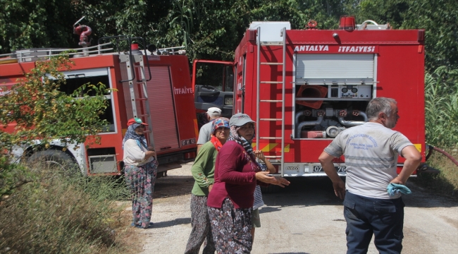 Antalya'da sazlık alanda çıkan yangın söndürüldü