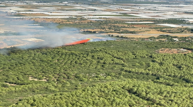 Antalya'nın Aksu ilçesinde orman yangını çıktı