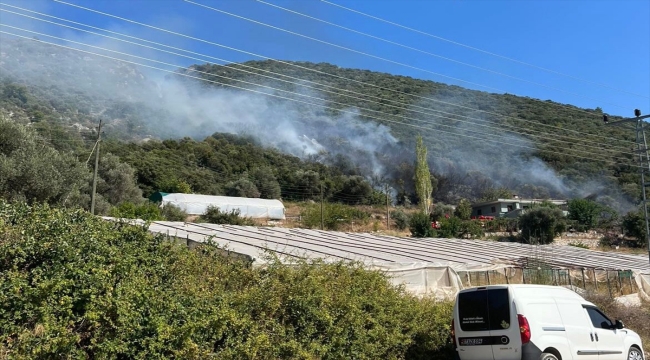 Antalya'nın Kaş ilçesinde makilik alanda yangın çıktı