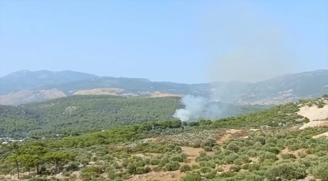 Antalya'nın Kaş ilçesinde orman yangını çıktı