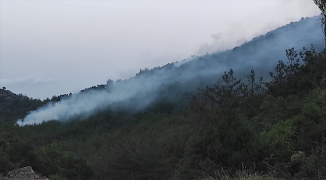 Bilecik'te ormanlık alanda çıkan yangın kontrol altına alındı