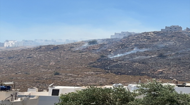 Bodrum'da otluk alanda çıkan yangın söndürüldü