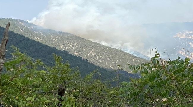 Bolu'da yıldırım düşmesi sonucu çıkan orman yangınına müdahale ediliyor